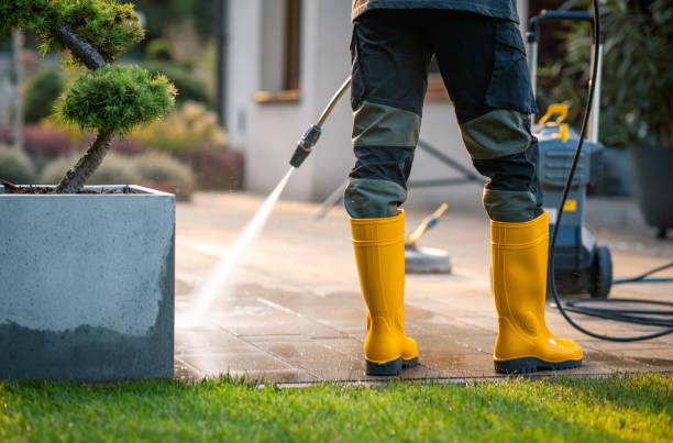 Best Pressure Washing Company Near Me  in Clarcona, FL